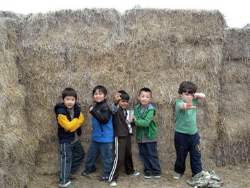 Boys at the Hay Maze