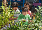 Kids looking at the plants